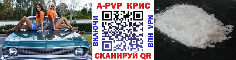 A PVP СК  Кингисепп 