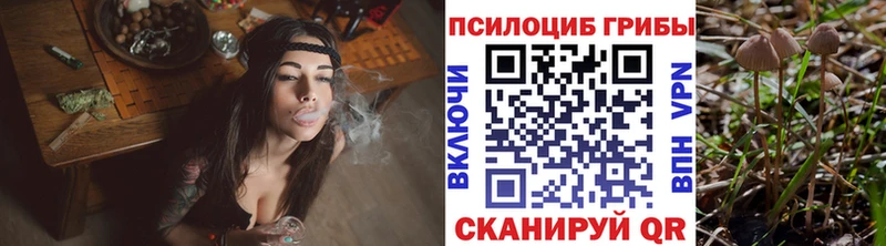 Галлюциногенные грибы Psilocybine cubensis  купить наркоту  Кингисепп 