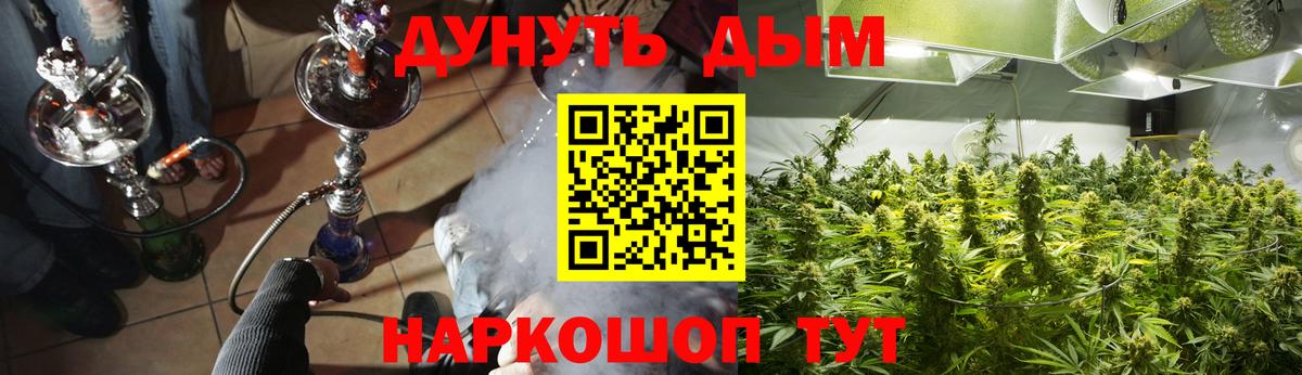 Конопля индика  Марихуана Ganja  Вход с VPN  Кингисепп 
